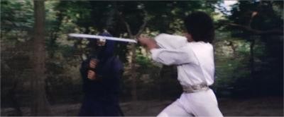 Ejderha İnindeki Ninja Fotoğrafı