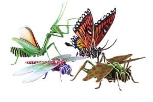 Kelebeğin Hikayesi + Büyülü Okyanus fotoğrafı