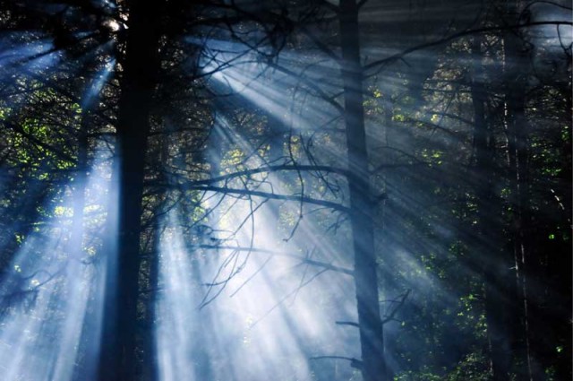 Üç Harfliler: Marid Fotoğrafı