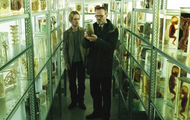 Bataklık fotoğrafı