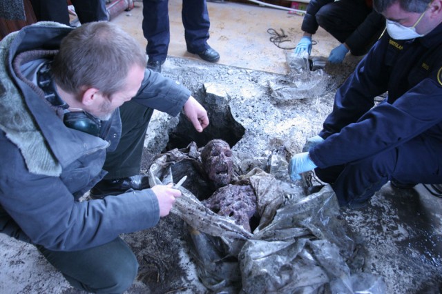 Bataklık fotoğrafı