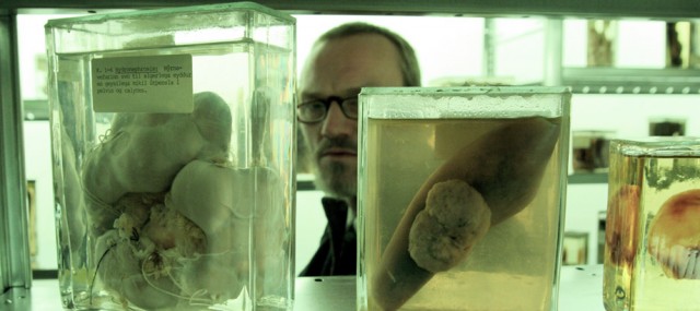 Bataklık fotoğrafı