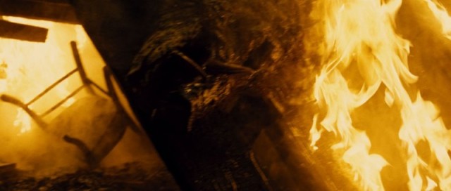 Vahşi Av Fotoğrafı