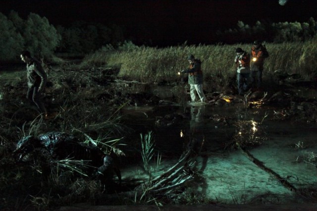 Vahşi Av Fotoğrafı