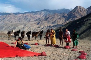 Düşüş Fotoğrafı