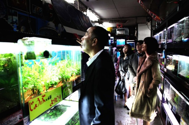 Cold Fish fotoğrafı