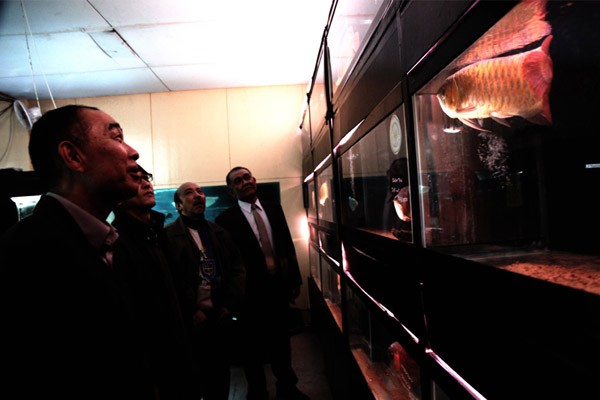 Cold Fish Fotoğrafı