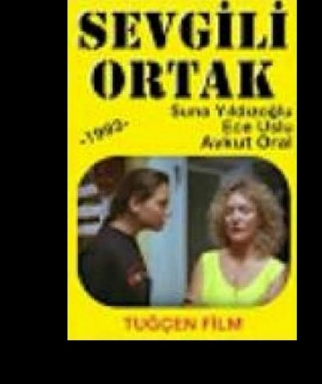 Sevgili Ortak (1993) afişi