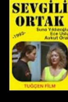Sevgili Ortak (1993) afişi