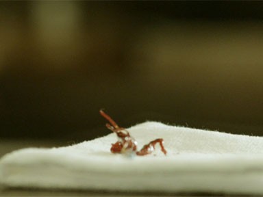 Persons Unknown Fotoğrafı