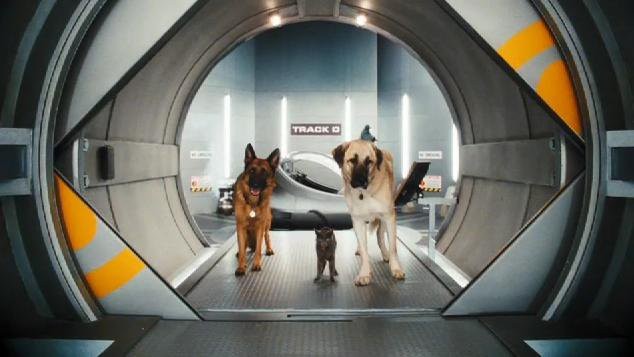 Kediler ve Köpekler Kitty Galore'un İntikamı Fotoğrafı