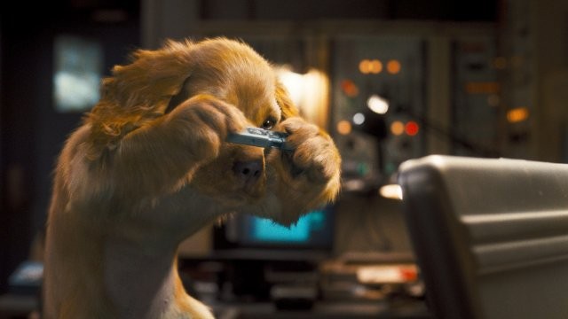 Kediler ve Köpekler Kitty Galore'un İntikamı Fotoğrafı