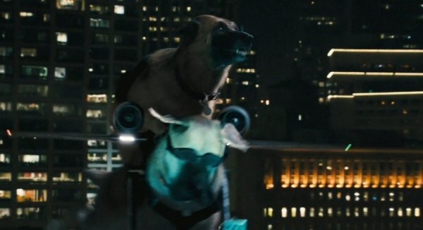 Kediler ve Köpekler Kitty Galore'un İntikamı Fotoğrafı