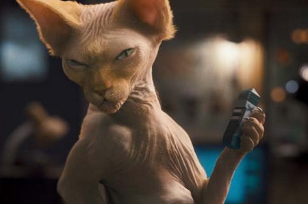 Kediler ve Köpekler Kitty Galore'un İntikamı fotoğrafı