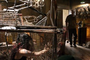 Ölüm Çıkmazı Fotoğrafı