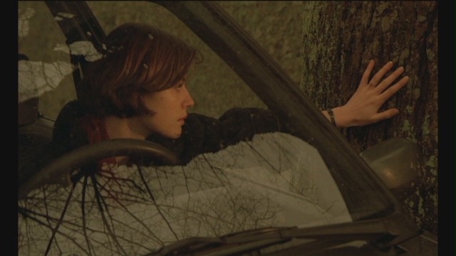 Véronique'in İkili Yaşamı Fotoğrafı