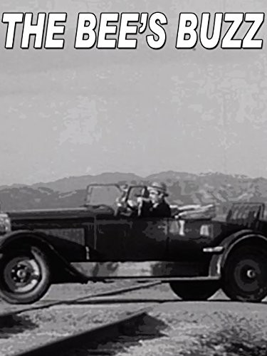 The Bees' Buzz (1929) afişi