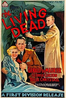 The Scotland Yard Mystery (1934) afişi