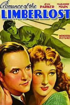 Romance Of The Limberlost (1938) afişi