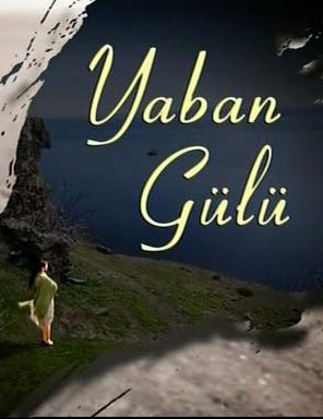 Yaban Gülü (2008) afişi