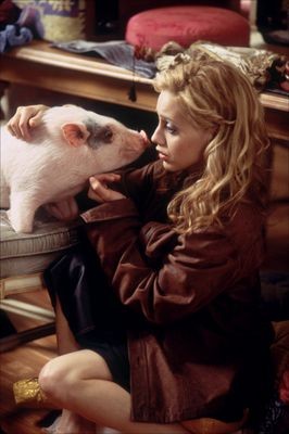 Sevimli Dadı fotoğrafı