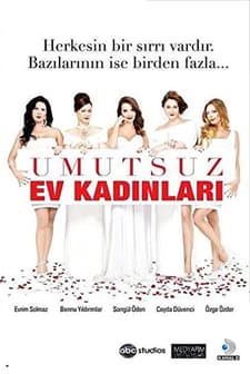 Umutsuz Ev Kadınları (2011) afişi