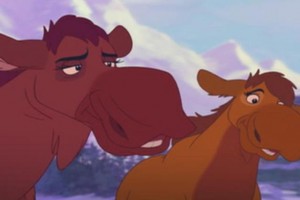 Ayı Kardeş 2 fotoğrafı