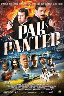 Pak Panter (2010) afişi