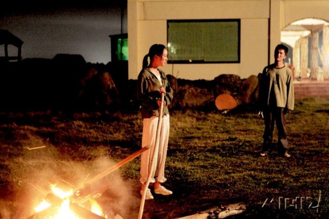 Feathers In The Wind Fotoğrafı
