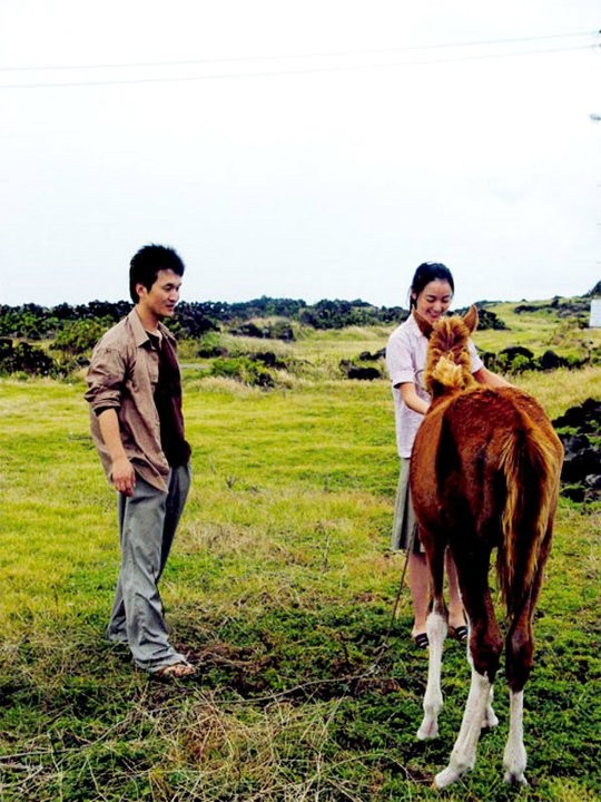 Feathers In The Wind Fotoğrafı