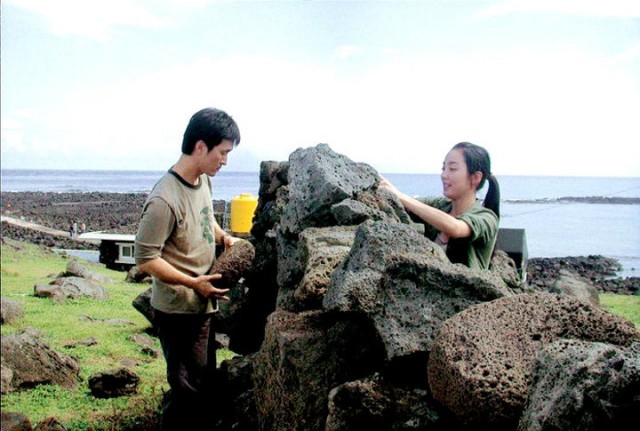 Feathers In The Wind Fotoğrafı