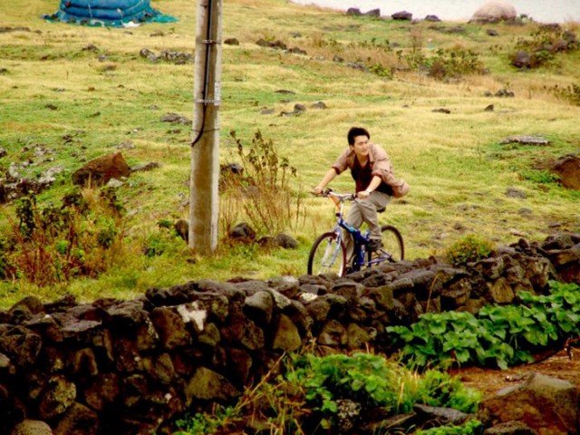 Feathers In The Wind Fotoğrafı