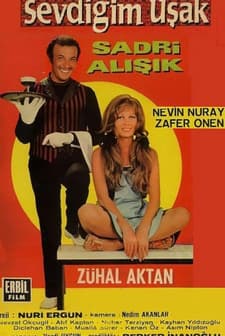 Sevdiğim Uşak (1971) afişi