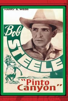 Pinto Canyon (1940) afişi