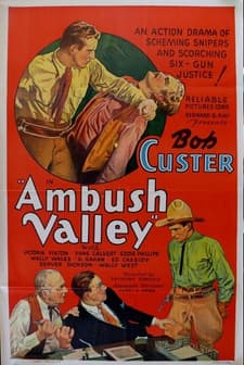 Ambush Valley (1936) afişi
