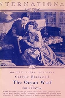 The Ocean Waif (1916) afişi