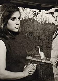 Canım Sana Feda (1965) afişi