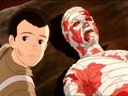 Ateş Böceklerinin Mezarı Fotoğrafı