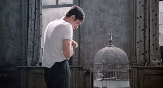 Kiralık Katil Fotoğrafı