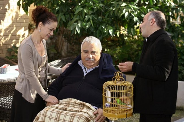 Yaprak Dökümü Fotoğrafı