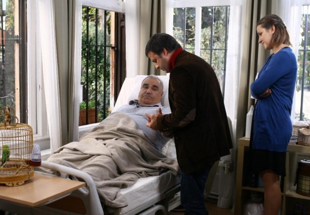 Yaprak Dökümü Fotoğrafı