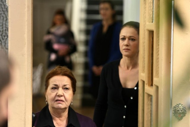 Yaprak Dökümü Fotoğrafı