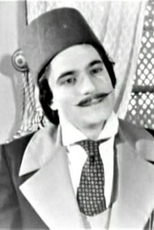 Şıpsevdi (1977) afişi