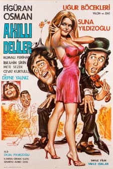 Akıllı Deliler (1980) afişi