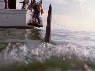 Denizde Dehşet Fotoğrafı