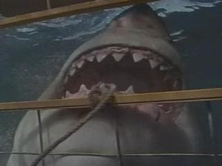 Denizde Dehşet Fotoğrafı