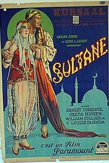 The Lady Of The Harem (1926) afişi