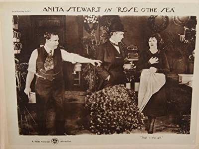 Rose O' The Sea (1922) afişi