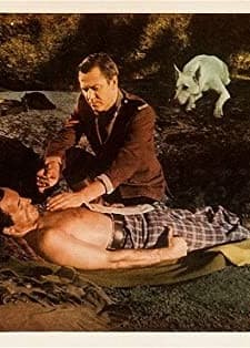 The Wolf Hunters (1949) afişi