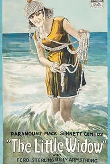 The Little Widow (1919) afişi